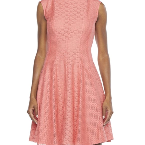 Danny & Nichole Dresses & Skirts - Danny & Nicol Fit & Flare Blush Lace Dress Petites